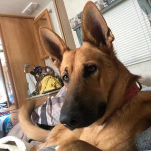 Meet your Posher, Donna